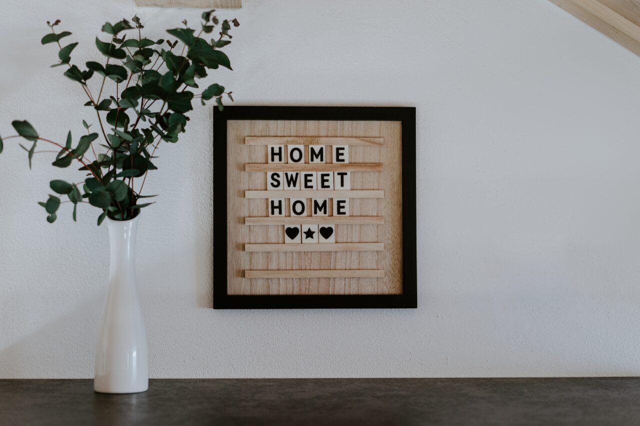 julian hochgesang BKACkJLu5Hc unsplash 1 e1722345053161