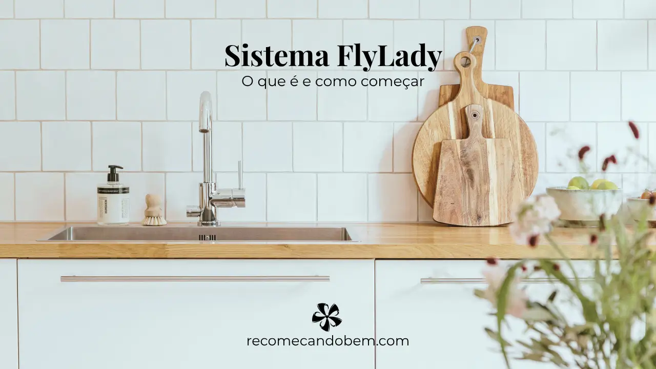 Sistema FlyLady
